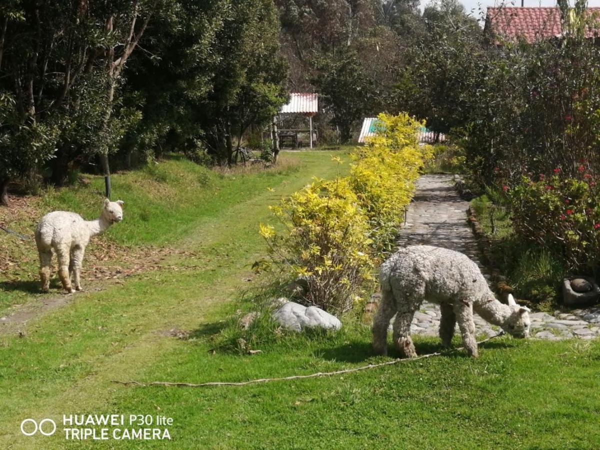 Hostal El Vaquero Chugchilán Екстериор снимка
